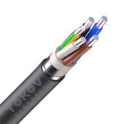 Кабель TOKOV ELECTRIC АВБШв 5х6 ОК (N PE) 0.66кВ (м) 00-00036325